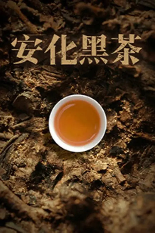 动漫新番 迷宫饭